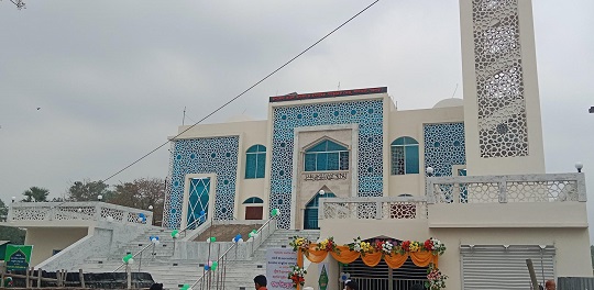 image-here